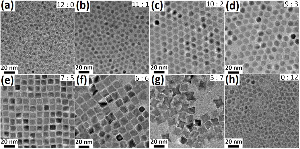 Cell sorting magnetic beads