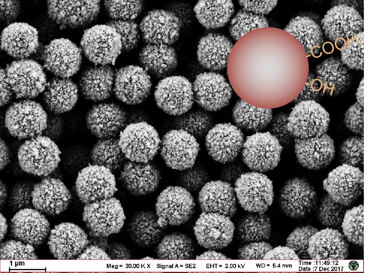 Nucleic acid extraction magnetic beads