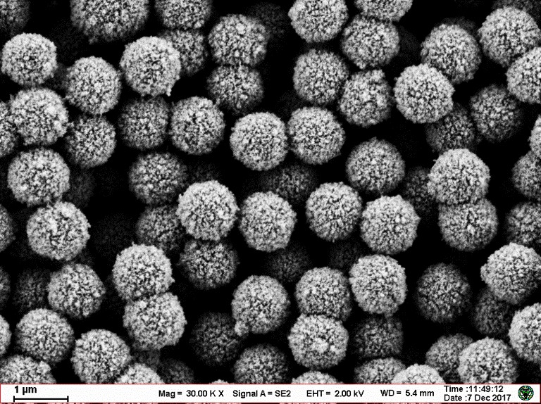 Nucleic acid extraction magnetic beads