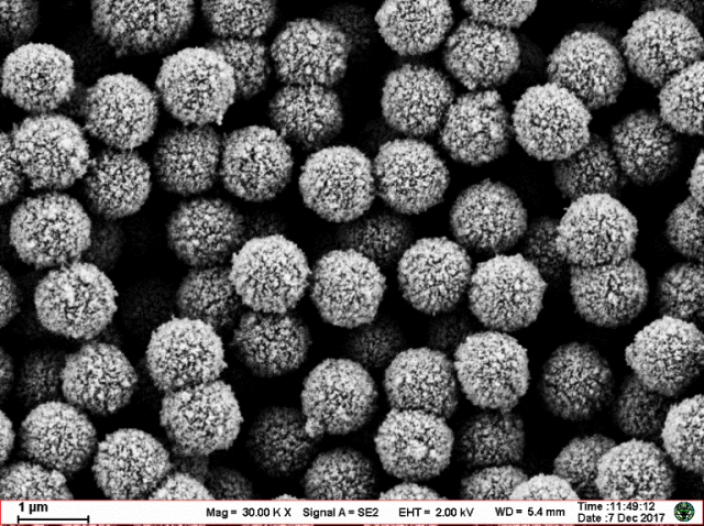 Nucleic acid extraction magnetic beads