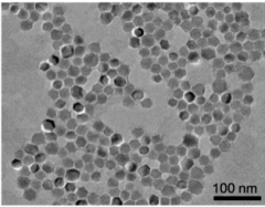 Cell sorting magnetic beads