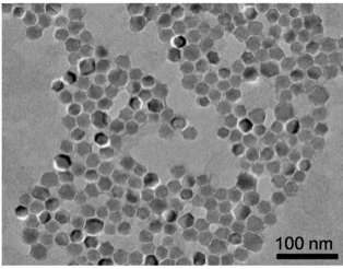 Cell sorting magnetic beads