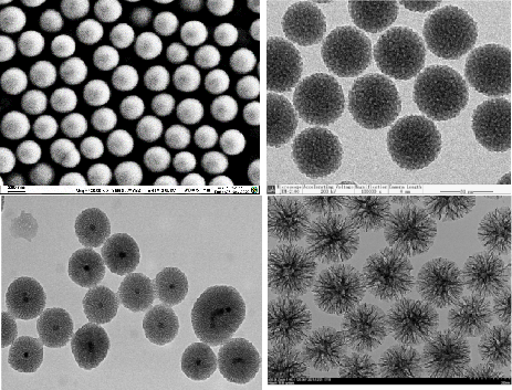 Cell sorting magnetic beads