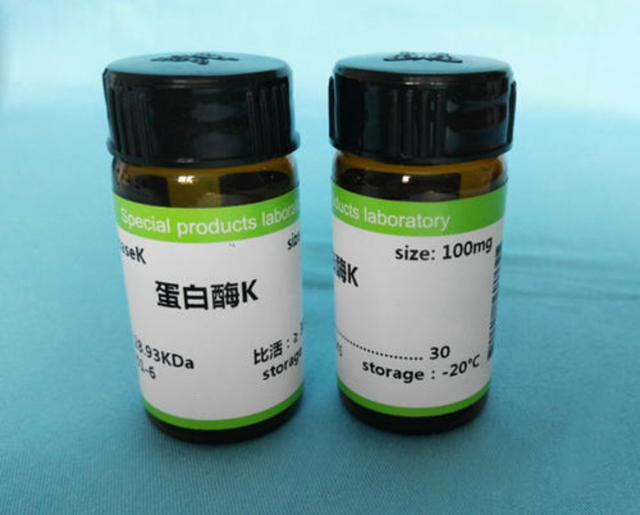 Proteinase K