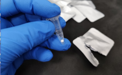 Lyophilized Real-Time RT-PCR  Mix