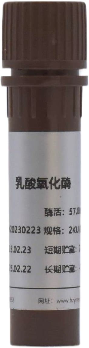 Lactate Dehydrogenase(LDH)