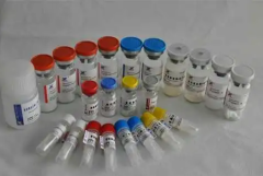 Proteinase K（NGS)
