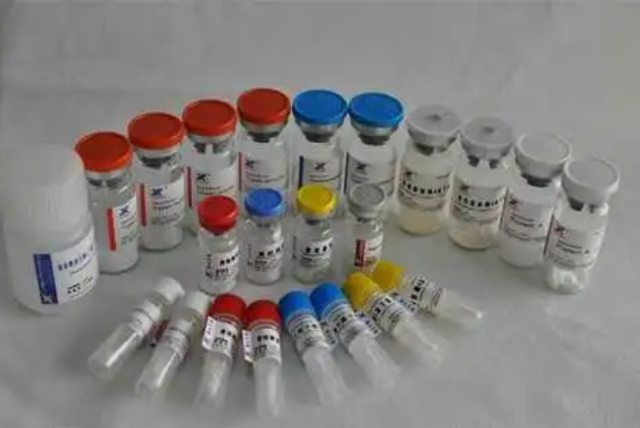 Proteinase K（NGS)