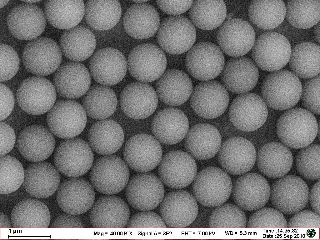 Latex Microsphere