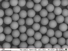 Latex Microsphere