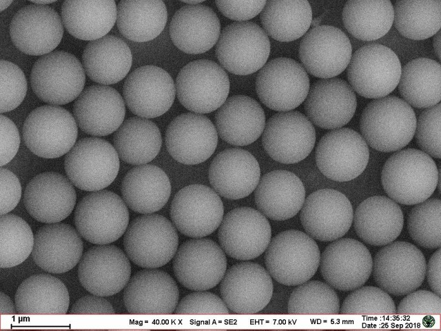 Latex Microsphere