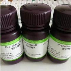 Proteinase K