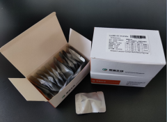 Lyophilized ASFV LAMP Kit(Visual OTG Dye)