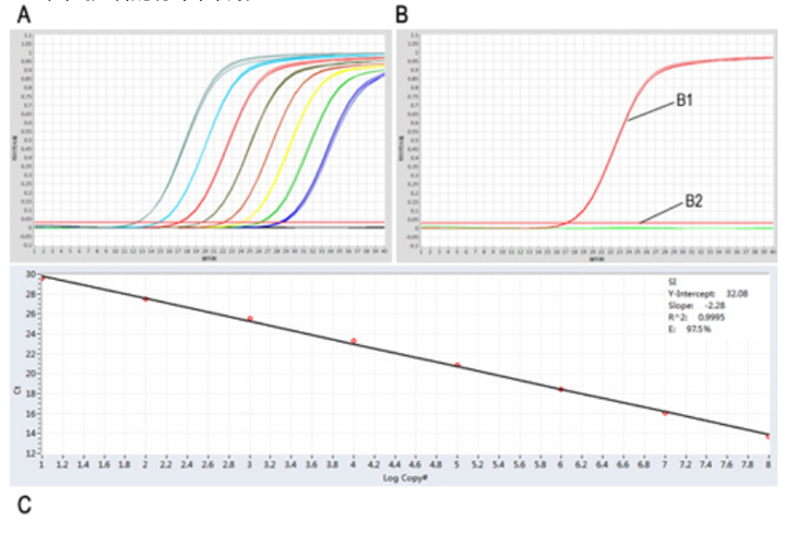 Lyophilized Fast DNA TaqMan PCR Kit(UNG)
