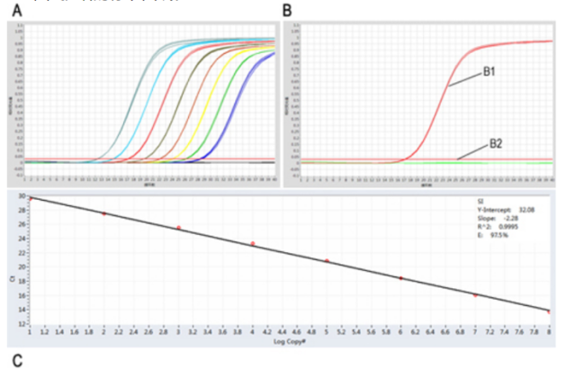 Lyophilized Fast DNA TaqMan PCR Kit(UNG)