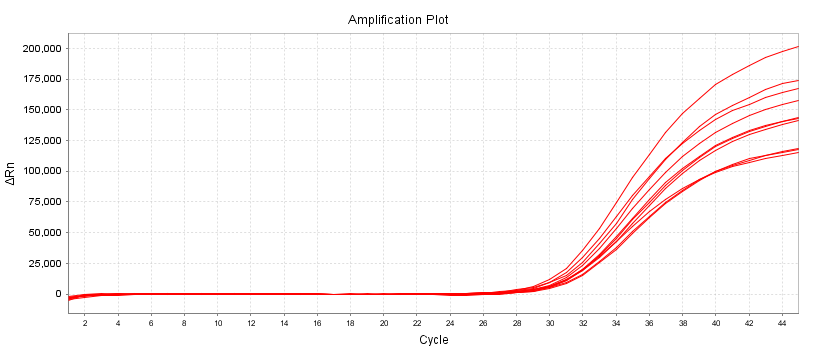 Mycoplasma Real-time qPCR Detection Kit