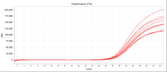 Mycoplasma Real-time qPCR Detection Kit
