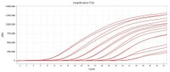 Mycoplasma Real-time qPCR Detection Kit
