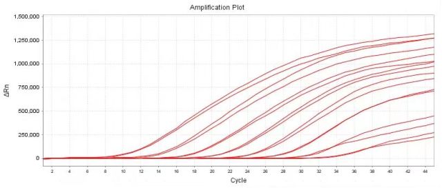 Mycoplasma Real-time qPCR Detection Kit