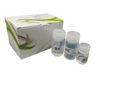 Ultra Nuclease ELISA Kit