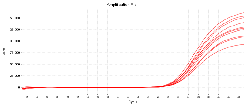 Mycoplasma Real-time qPCR Detection Kit