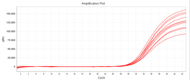 Mycoplasma Real-time qPCR Detection Kit