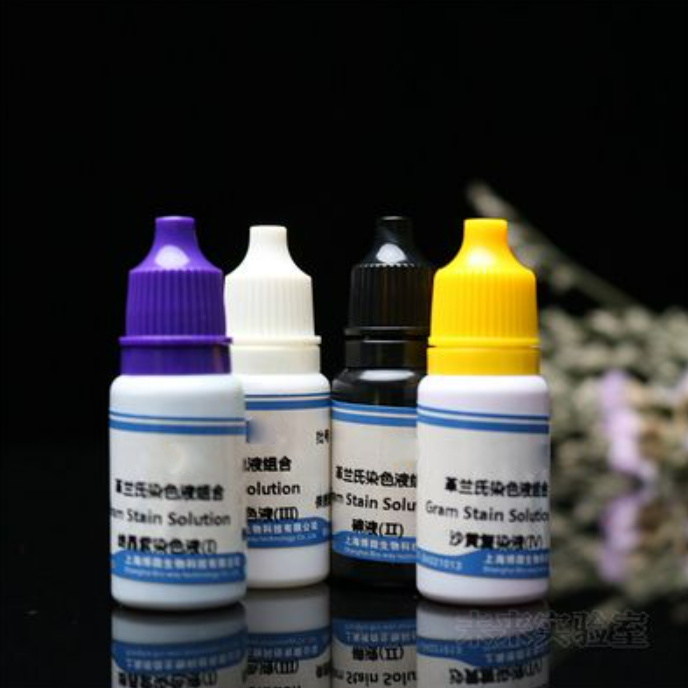 Gram staining solution kit