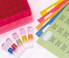 ThermoLabile Uracil DNA Glycosylase