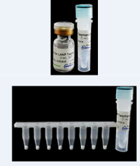 LAMP SYBR Green Reagent(Lyophilized )