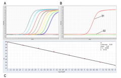 Lyophilized Fast DNA TaqMan PCR Reagent (UNG)