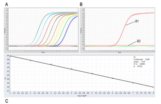 Lyophilized Fast DNA TaqMan PCR Reagent (UNG)