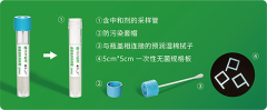 Surface coating sampling tube