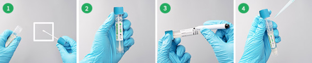 Surface coating sampling tube