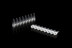 0.2mLPCR single 8-pipe