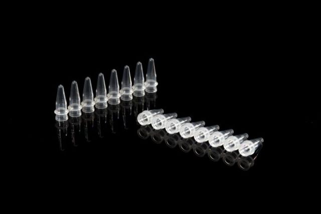 0.2mLPCR single 8-pipe