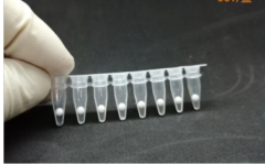 Multiple Respiratory Pathogen Virus Nucleic Acid Detection Kit (PCR-Fluorescence Probe Method)