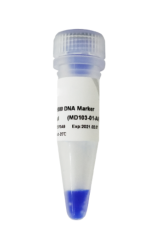 DL5000 DNA Marker