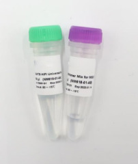 Universal Amplification Mix for MGI