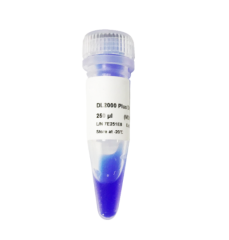DL5000 DNA Marker