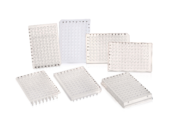 PCR 96 Well  Plate