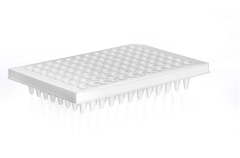 PCR 96 Well  Plate