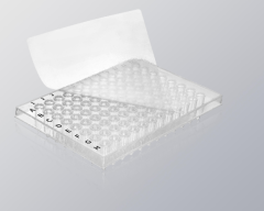 PCR 96 Well  Plate