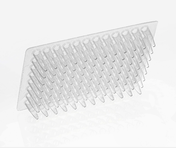 PCR 96 Well  Plate