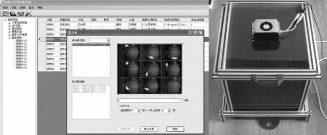 Spontaneous autonomous activity video analysis system