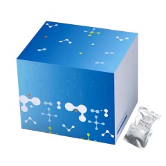 TB/NTM Nucleic Acid Detection Kit (Lyophilized)