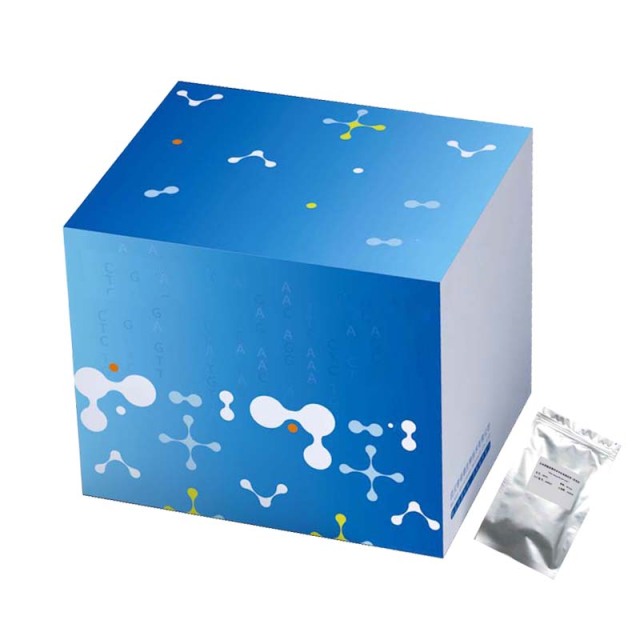 TB/NTM Nucleic Acid Detection Kit (Lyophilized)