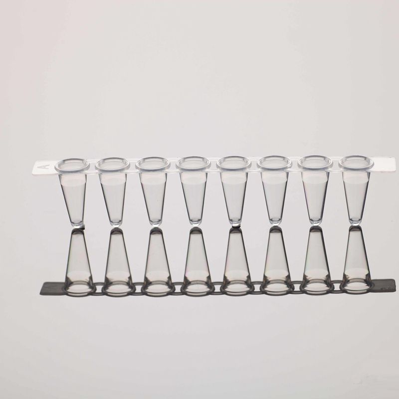 0.1mL/0.2 mL Laboratory Tubes Plastic Test Disposable PCR Tube