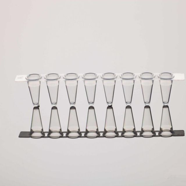0.1mL/0.2 mL Laboratory Tubes Plastic Test Disposable PCR Tube