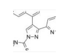 Organoid  A-83-01