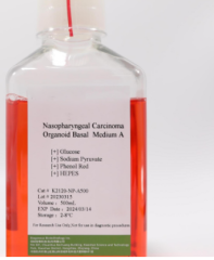 Nasopharyngeal Carcinoma Organoid Kit